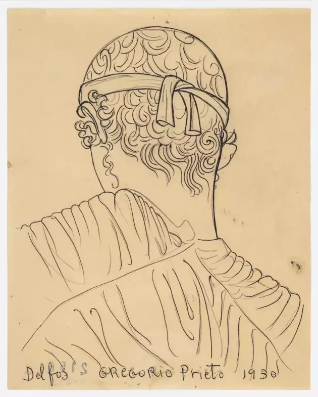 Cabeza de auriga de Delfos de: Gregorio Prieto (1897-1992). Dibujo monocromo realizado a tinta negra sobre papel beige, donde se representa la cabeza y parte superior del torso de un joven de espaldas. El personaje, inspirado en esculturas clásicas griegas, lleva una diadema lisa anudada detrás de la cabeza, dejando ver rizos definidos y detallados que cubren toda la nuca y coronilla. La figura viste una túnica de pliegues ondulados que caen sobre los hombros y la espalda. La pose y el peinado evocan la imagen de un auriga, conductor de carros en la antigua Grecia, reforzando el ambiente clásico y escultórico. No hay fondo ni elementos decorativos, el trazo es limpio y continuado, y el protagonismo recae en los patrones del cabello y las líneas del ropaje.