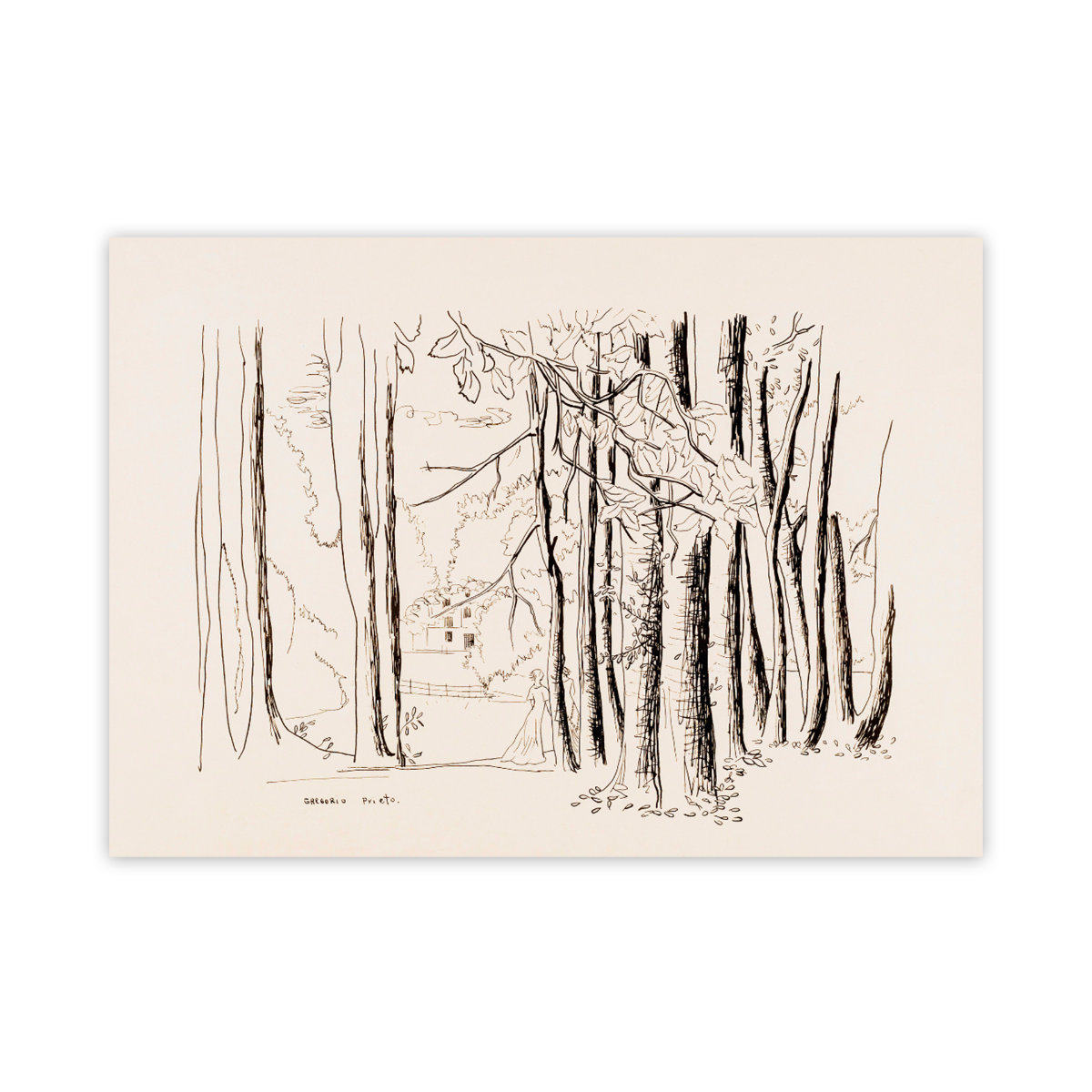 Dos figuras en jardín inglés (dibujo del cuaderno “An English Garden”) Autor: Gregorio Prieto Dibujo en blanco y negro realizado a línea por Gregorio Prieto en el que se representa un jardín o bosque inglés visto en profundidad. En primer plano ocupa casi todo el ancho de la imagen una hilera de troncos de árboles altos, delgados y sin apenas follaje, dibujados con trazos verticales muy marcados. Entre los árboles, en la parte inferior central, se distinguen dos figuras femeninas de pie, apenas esbozadas, una junto a la otra, con vestidos largos claros que caen hasta el suelo. Tras ellas, en un segundo plano, se ve una casa de dos plantas con varias ventanas rectangulares, parcialmente oculta por la vegetación. El resto del paisaje se completa con ramas y hojas dibujadas con líneas finas, que sugieren copa de los árboles y arbustos del jardín. El estilo es muy sintético y lineal, sin sombras ni color, centrado en el ritmo de los troncos verticales y en la inserción de las dos figuras humanas en el entorno arbolado.
